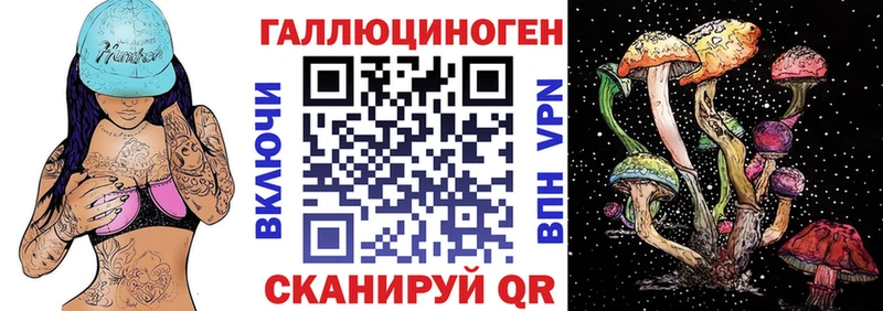 Псилоцибиновые грибы Cubensis  Купить  Стрежевой 